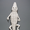 "skin-changer's closet: alligator" detail