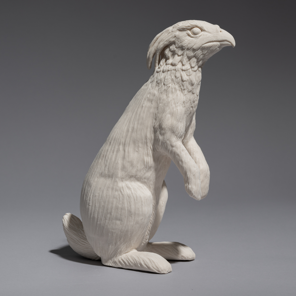 crested hawk eagle/black naped hare chimera (earthbound)