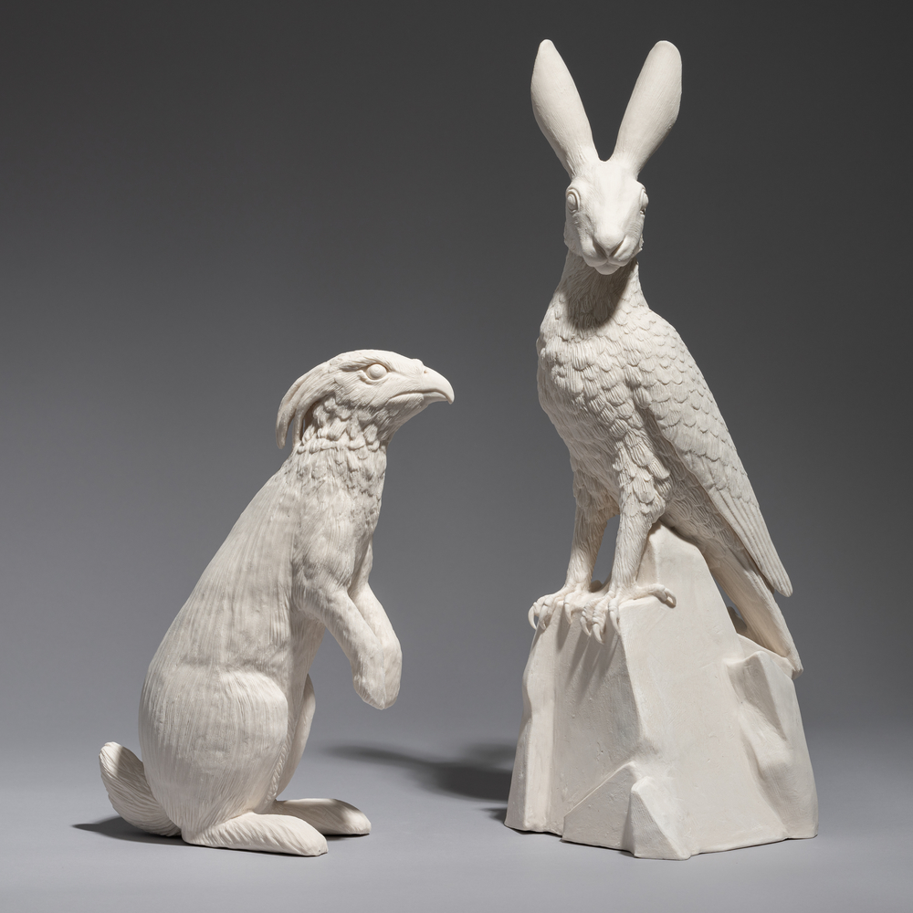 crested hawk eagle/black naped hare chimeras