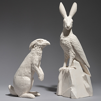 crested hawk eagle/black naped hare chimeras