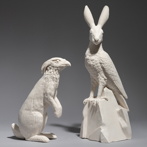"hawk/hare chimeras"