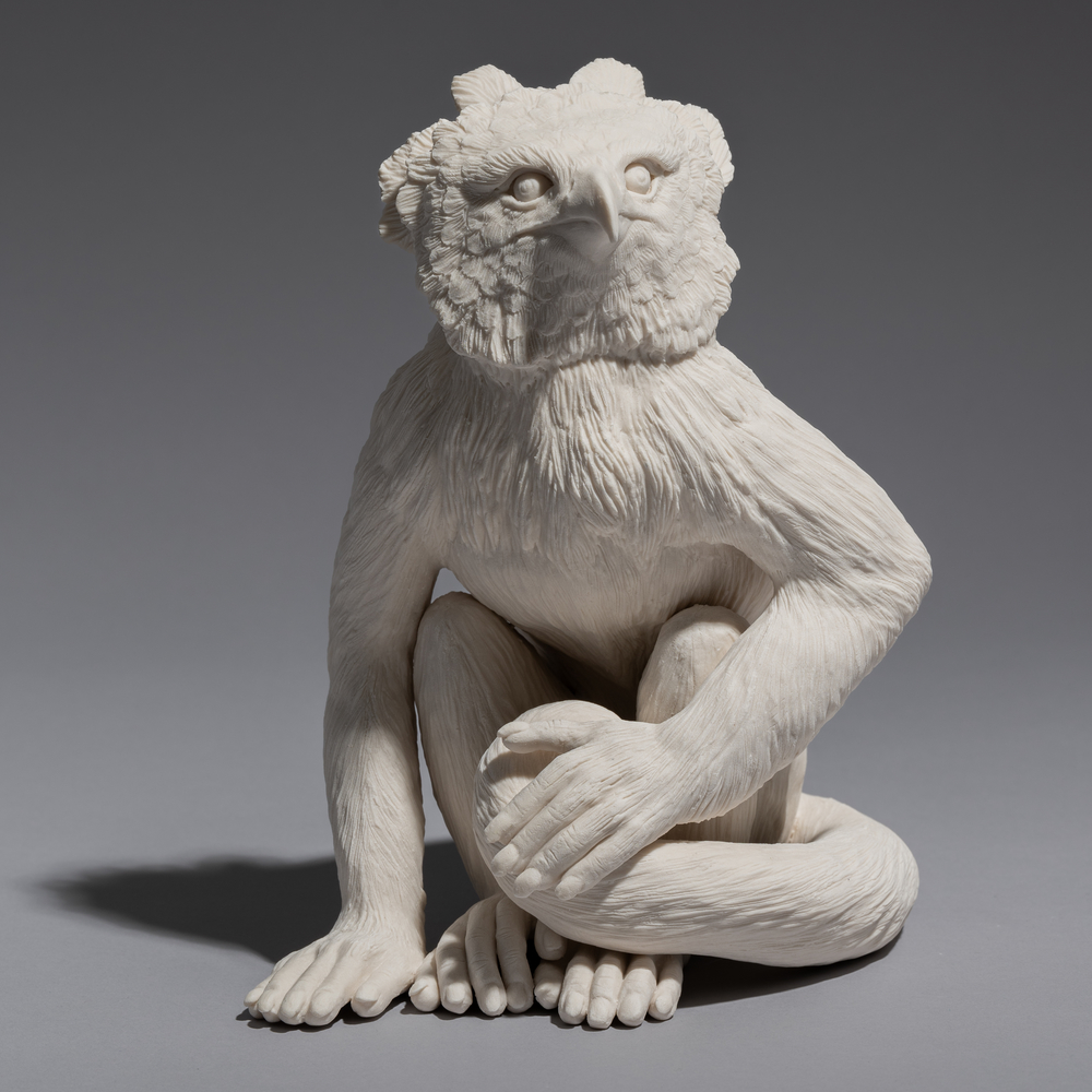 harpy eagle/white faced capuchin chimera (earthbound)