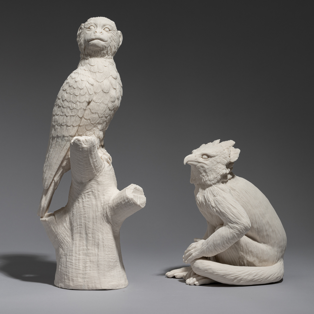 harpy eagle/white faced capuchin chimeras
