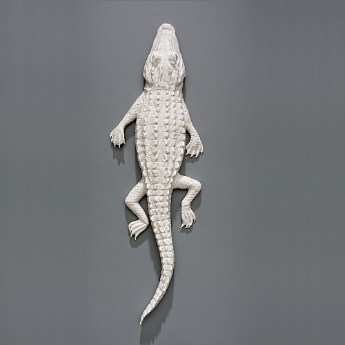 "skin-changer's closet" alligator